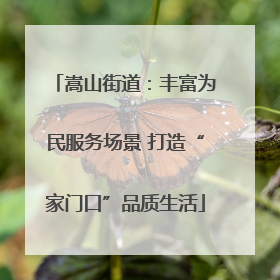嵩山街道：丰富为民服务场景 打造“家门口”品质生活