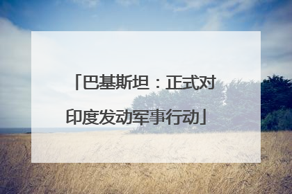 巴基斯坦：正式对印度发动军事行动