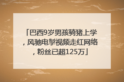 巴西9岁男孩骑猪上学，风驰电掣视频走红网络，粉丝已超125万