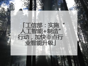 工信部：实施“人工智能+制造”行动，加快重点行业智能升级