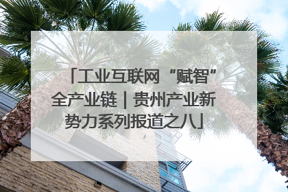 工业互联网“赋智”全产业链｜贵州产业新势力系列报道之八