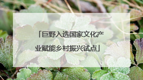 巨野入选国家文化产业赋能乡村振兴试点