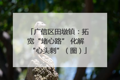 广信区田墩镇：拓宽“堵心路” 化解“心头刺”（图）