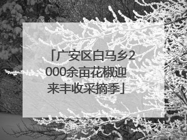 广安区白马乡2000余亩花椒迎来丰收采摘季