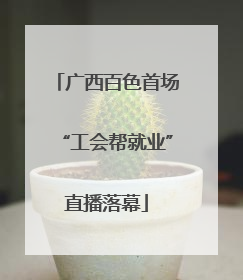 广西百色首场“工会帮就业”直播落幕