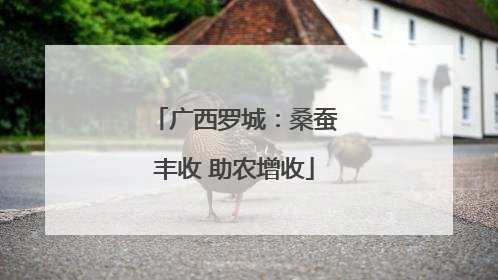 广西罗城：桑蚕丰收 助农增收