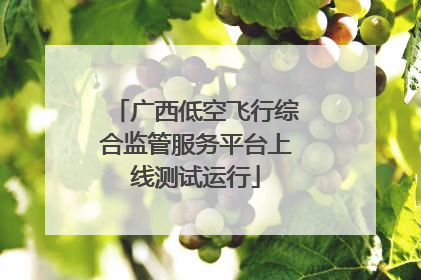 广西低空飞行综合监管服务平台上线测试运行