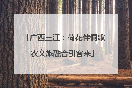 广西三江：荷花伴侗歌 农文旅融合引客来