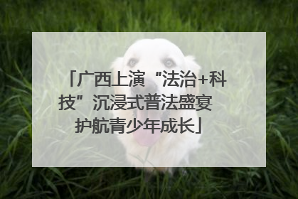 广西上演“法治+科技”沉浸式普法盛宴 护航青少年成长