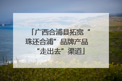 广西合浦县拓宽“珠还合浦”品牌产品“走出去”渠道