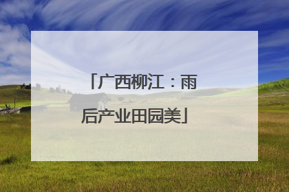 广西柳江：雨后产业田园美