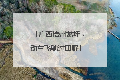 广西梧州龙圩：动车飞驰过田野