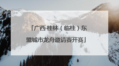 广西·桂林（临桂）东盟城市龙舟邀请赛开赛