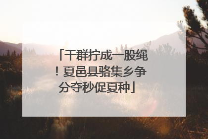干群拧成一股绳！夏邑县骆集乡争分夺秒促夏种