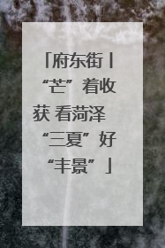 府东街丨“芒”着收获 看菏泽“三夏”好“丰景”