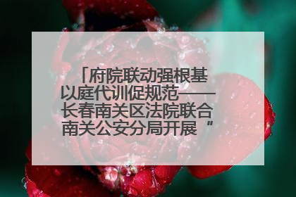 府院联动强根基 以庭代训促规范——长春南关区法院联合南关公安分局开展“以庭代训”