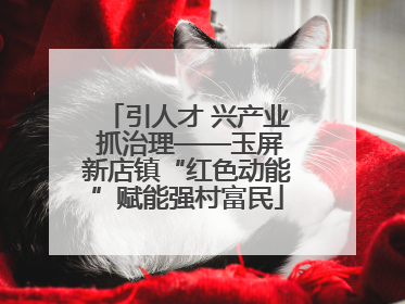引人才 兴产业 抓治理——玉屏新店镇“红色动能”赋能强村富民