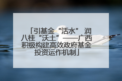 引基金“活水” 润八桂“沃土”——广西积极构建高效政府基金投资运作机制