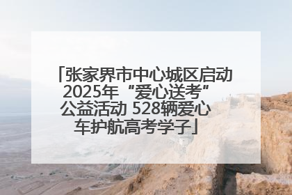 张家界市中心城区启动2025年“爱心送考”公益活动 528辆爱心车护航高考学子
