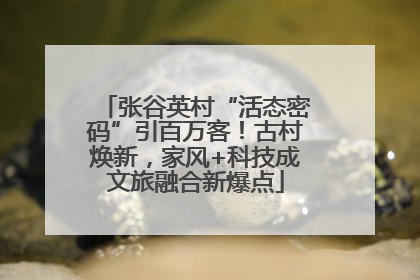 张谷英村“活态密码”引百万客！古村焕新，家风+科技成文旅融合新爆点