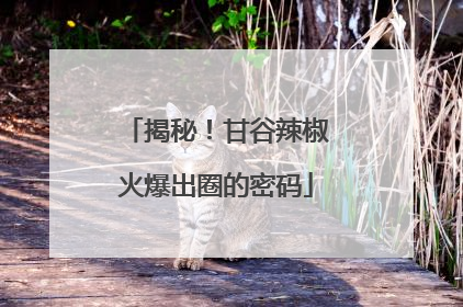 揭秘！甘谷辣椒火爆出圈的密码