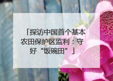 探访中国首个基本农田保护区监利：守好“饭碗田”