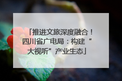 推进文旅深度融合！四川省广电局：构建“大视听”产业生态