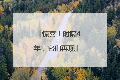 惊喜！时隔4年，它们再现