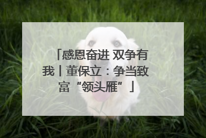 感恩奋进 双争有我丨董保立：争当致富“领头雁”