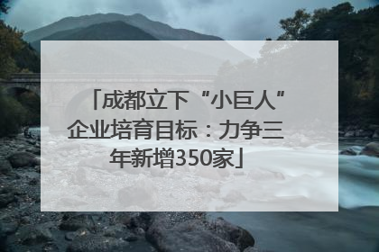 成都立下“小巨人”企业培育目标：力争三年新增350家