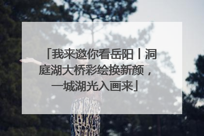 我来邀你看岳阳丨洞庭湖大桥彩绘换新颜，一城湖光入画来