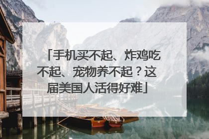 手机买不起、炸鸡吃不起、宠物养不起？这届美国人活得好难