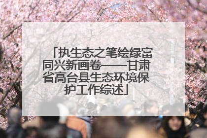执生态之笔绘绿富同兴新画卷——甘肃省高台县生态环境保护工作综述