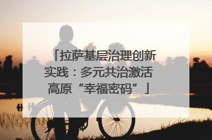拉萨基层治理创新实践：多元共治激活高原“幸福密码”