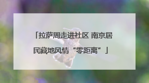 拉萨周走进社区 南京居民藏地风情“零距离”