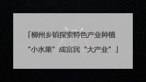 柳州乡镇探索特色产业种植 “小水果”成富民“大产业”