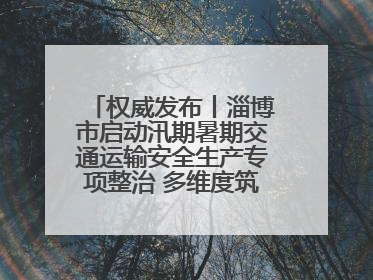 权威发布丨淄博市启动汛期暑期交通运输安全生产专项整治 多维度筑牢安全防线