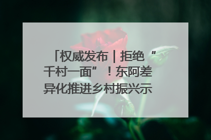 权威发布｜拒绝“千村一面”！东阿差异化推进乡村振兴示范片区建设