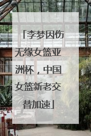 李梦因伤无缘女篮亚洲杯，中国女篮新老交替加速