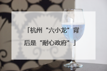 杭州“六小龙”背后是“耐心政府”
