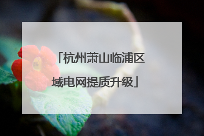 杭州萧山临浦区域电网提质升级
