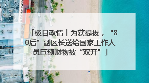 极目政情丨为获提拔，“80后”副区长送给国家工作人员巨额财物被“双开”