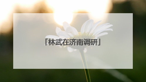 林武在济南调研