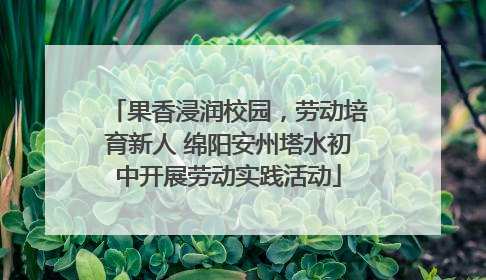 果香浸润校园，劳动培育新人 绵阳安州塔水初中开展劳动实践活动