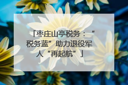 枣庄山亭税务：“税务蓝”助力退役军人“再起航”