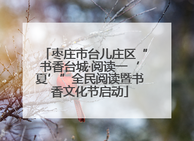 枣庄市台儿庄区“书香台城·阅读一‘夏’”全民阅读暨书香文化节启动