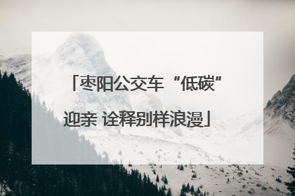 枣阳公交车“低碳”迎亲 诠释别样浪漫