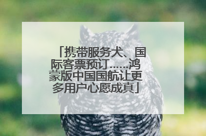 携带服务犬、国际客票预订……鸿蒙版中国国航让更多用户心愿成真