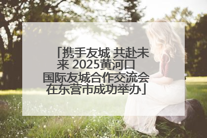 携手友城 共赴未来 2025黄河口国际友城合作交流会在东营市成功举办
