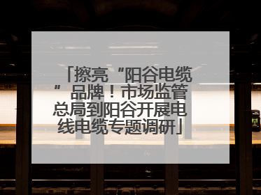 擦亮“阳谷电缆”品牌！市场监管总局到阳谷开展电线电缆专题调研